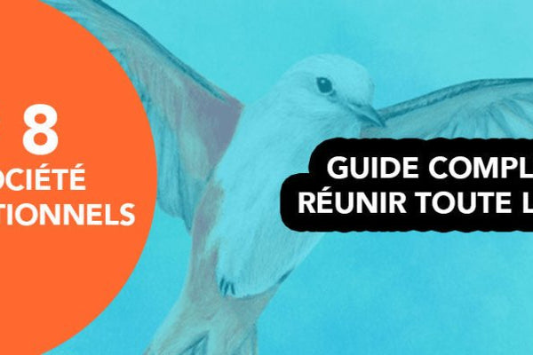 8 jeux de société intergénérationnels : Guide complet pour réunir toute la famille - L'Atelier des Jeux