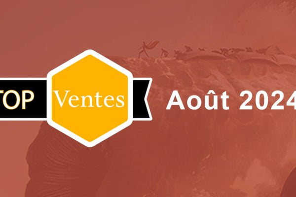 Les meilleures ventes de jeux de société du mois d'août 2024 - L'Atelier des Jeux