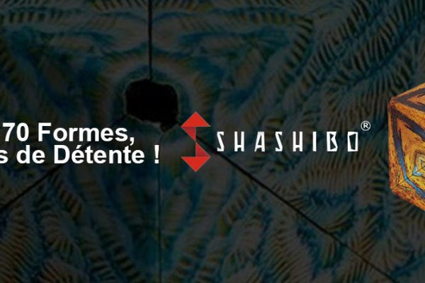 Zoom sur le jeu Shashibo - L'Atelier des Jeux