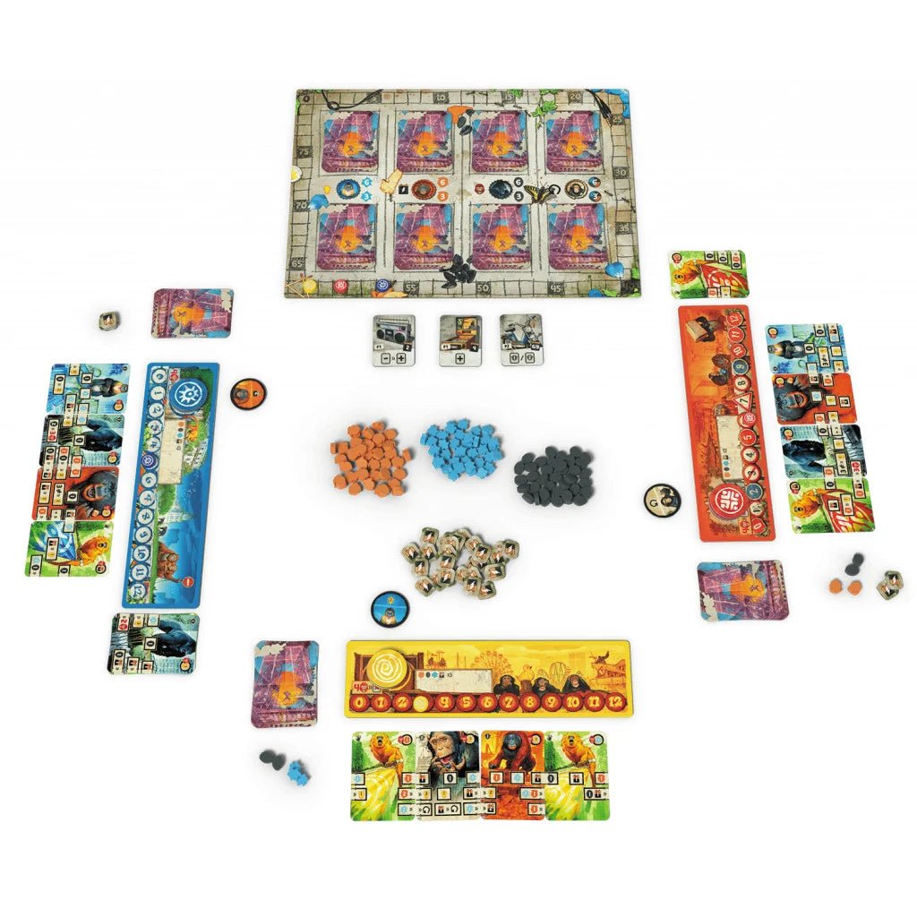 After Us_Jeu - de - société