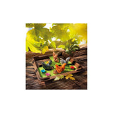 Cache Noisettes !_Jeu - de - société