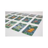 Diluvio_Jeu - de - société