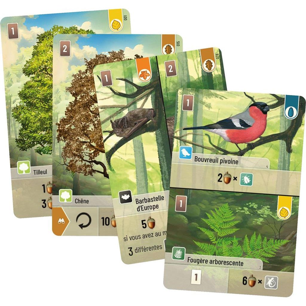 Forêt Mixte_Jeu - de - société
