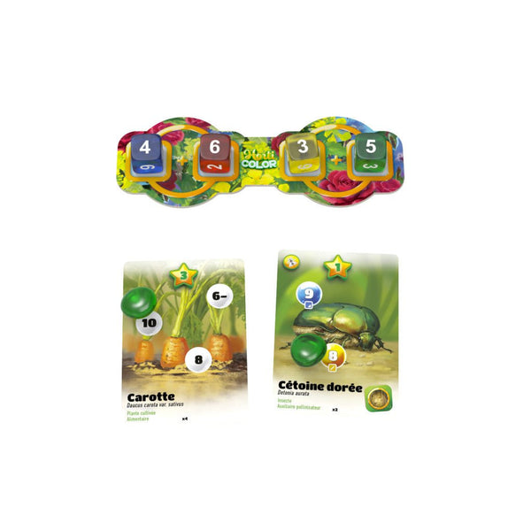 Horticolor_Jeu - de - société