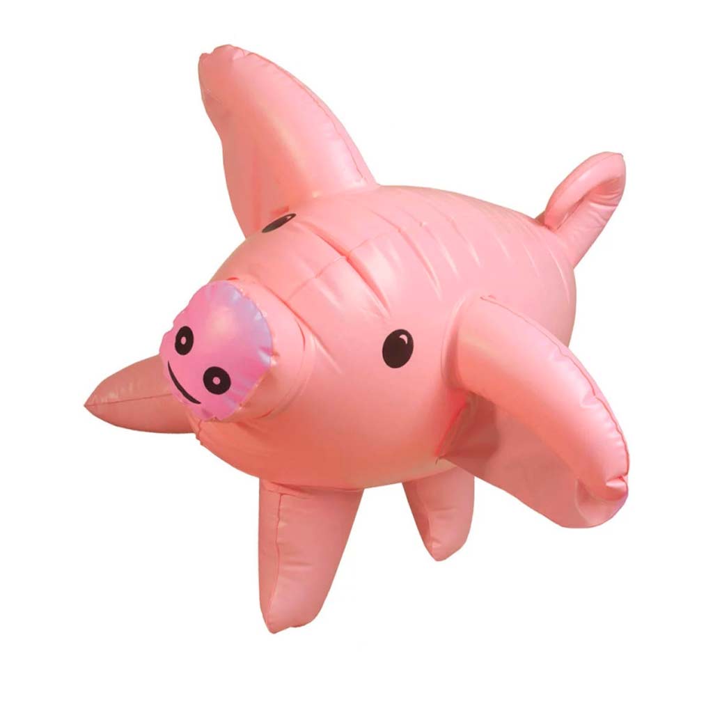 Jeu de cochons géants_Jeu - de - société