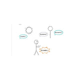 Kontour_Jeu - de - société