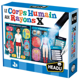Le Corps Humain Aux Rayons X