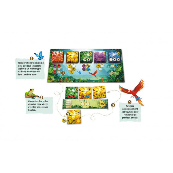 Rainforest_Jeu - de - société