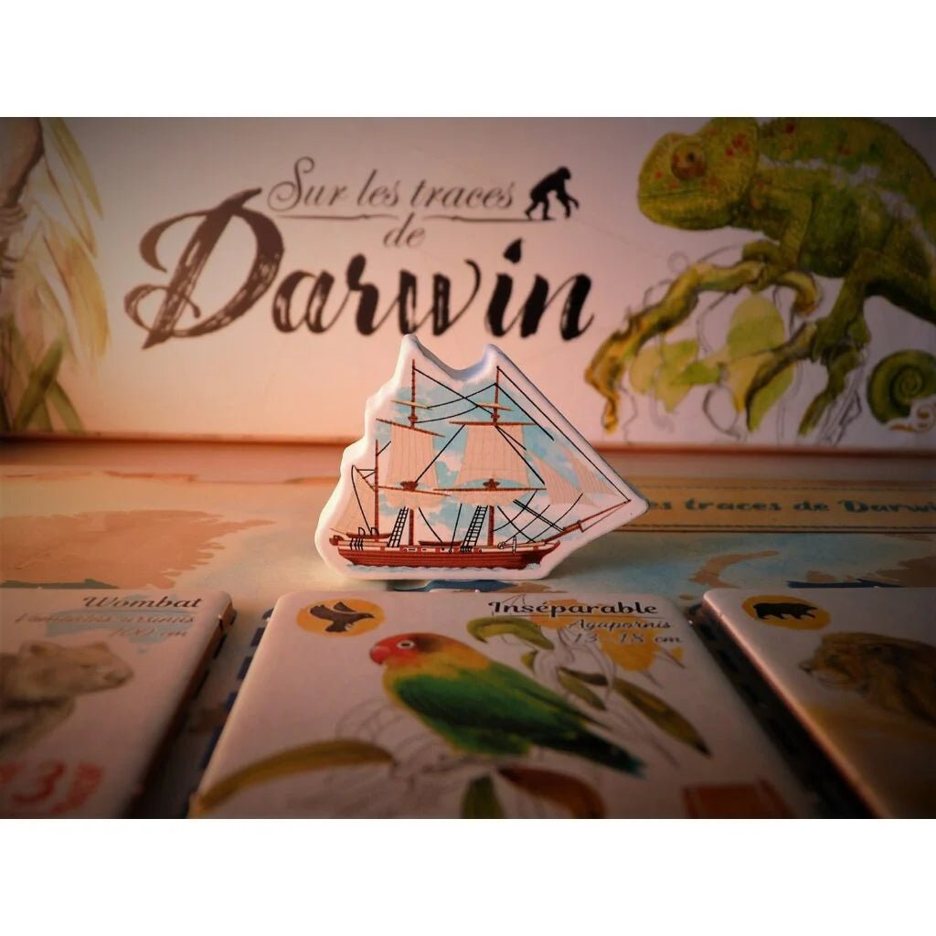 Sur les traces de Darwin_Jeu - de - société