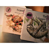 Sur les traces de Darwin_Jeu - de - société