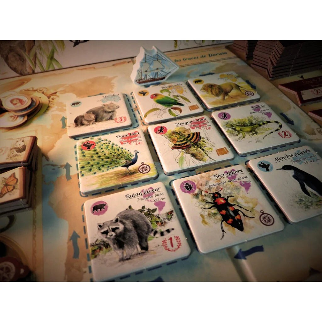Sur les traces de Darwin_Jeu - de - société