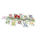 Ike No Koi_Jeu-de-société