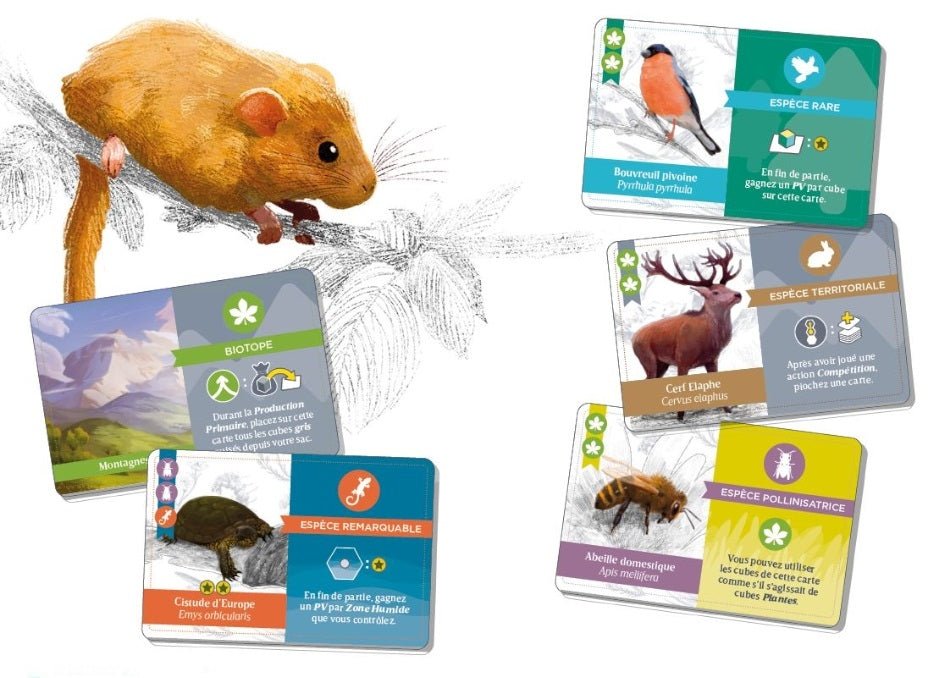 Biotopes_Jeu-de-société