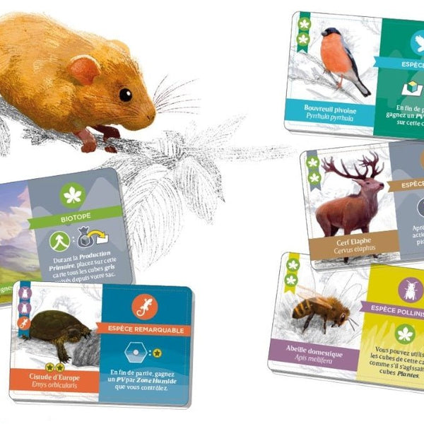 Biotopes_Jeu-de-société