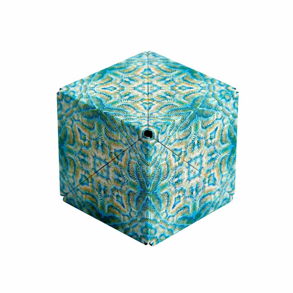 Shashibo Océan_Jeu-de-société