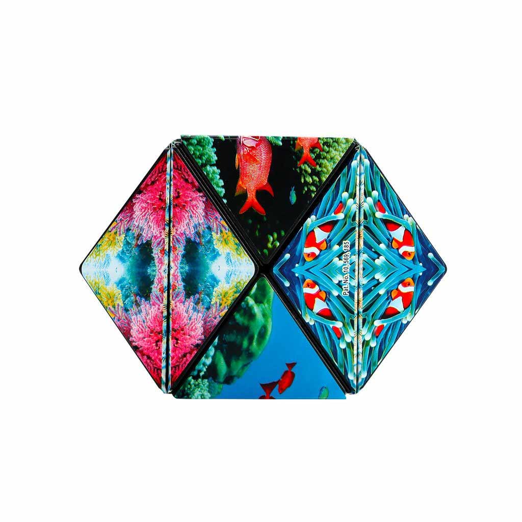 Shashibo Océan_Jeu-de-société